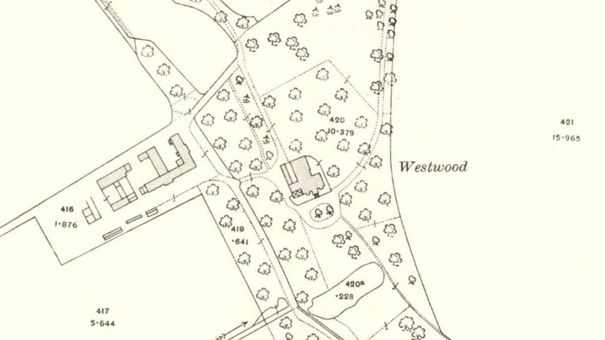 westwood1913.jpg